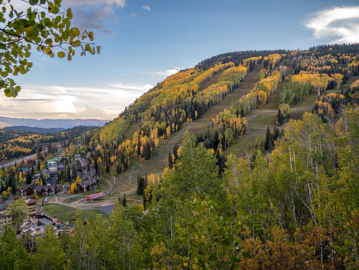 A sweeping view of a mountain landscape blanketed with vibrant fall foliage. Rolling hills descend toward a quaint village nestled in the valley below, while open skies cast a serene, golden light across the scene. This expansive perspective highlights the natural beauty and vastness of the alpine setting, inviting viewers to imagine themselves hiking, exploring, or simply soaking up the scenery.